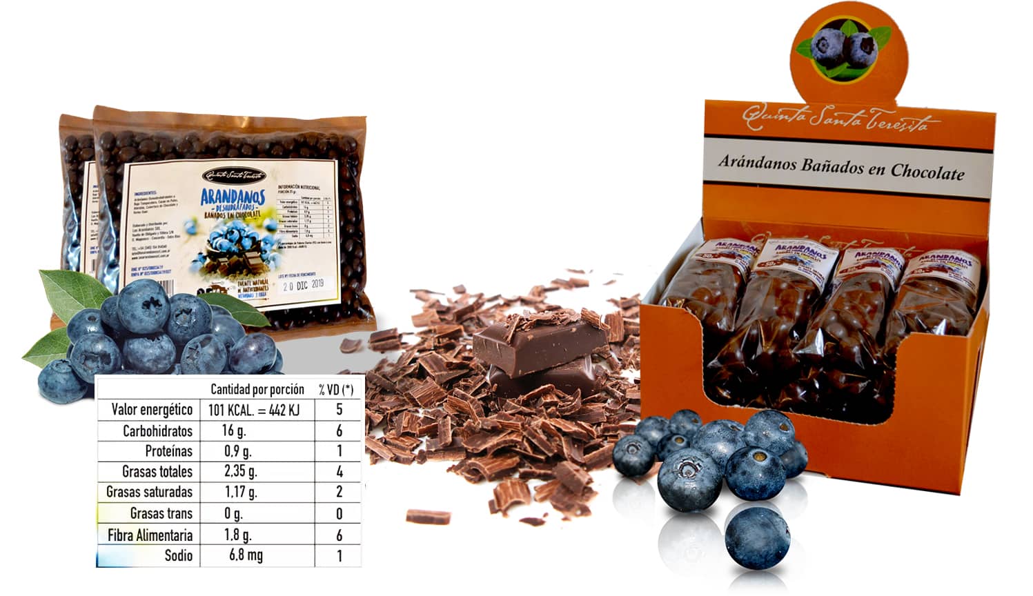 Arándanos con choco