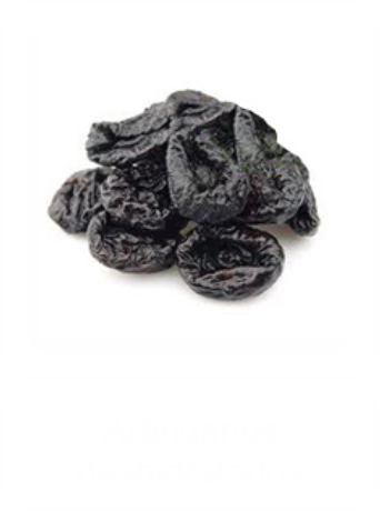 Arándanos deshidratados Los Arandanos srl