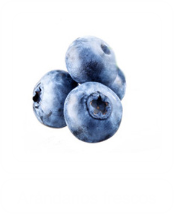 Arándanos frescos Los Arandanos srl